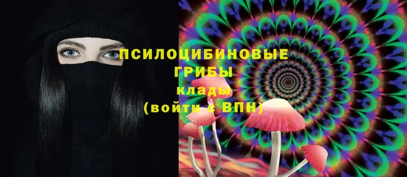 Псилоцибиновые грибы Magic Shrooms  кракен ССЫЛКА  Ульяновск  закладка 